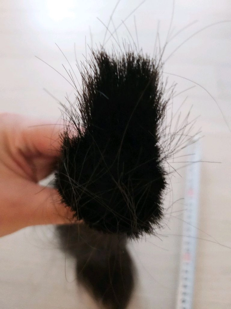 인모 40cm 이상 이미지