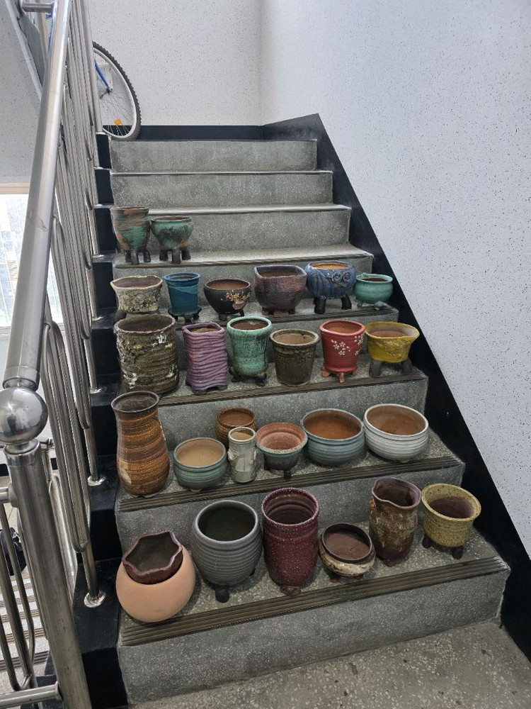 다육 화분 세트--0