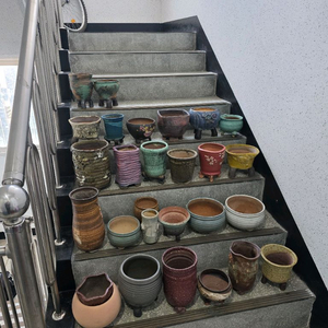 다육 화분 세트