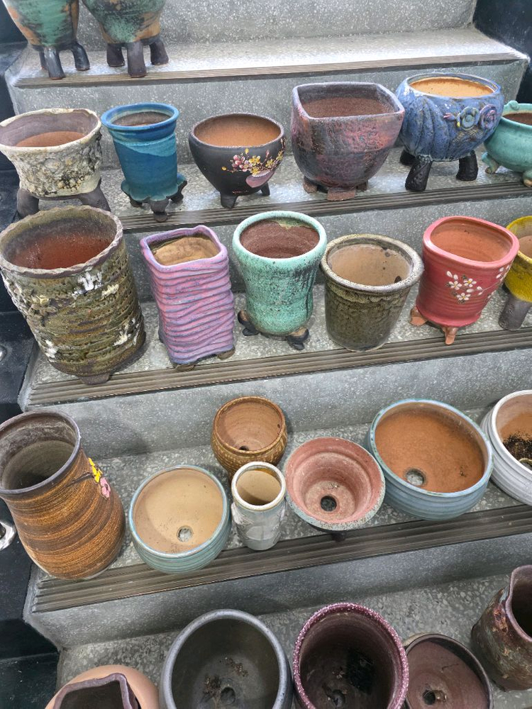 다육 화분 세트--1