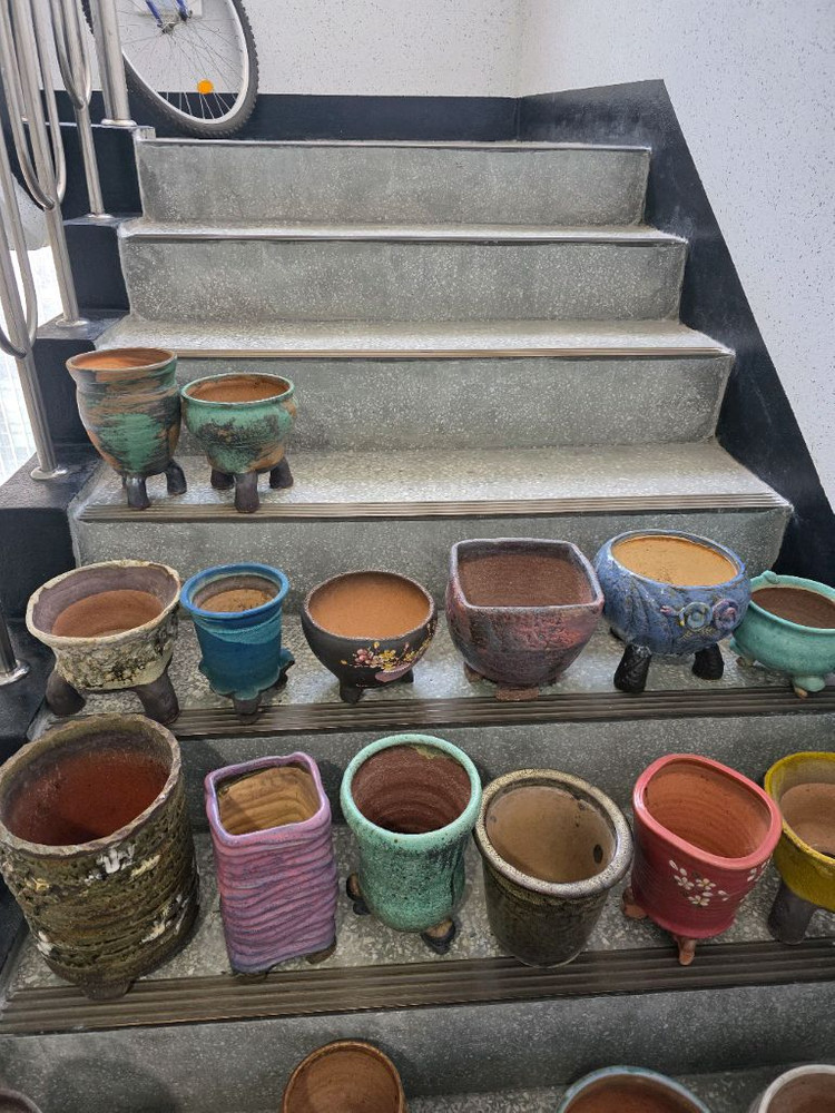 다육 화분 세트--3