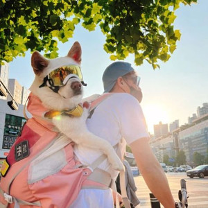 견체공학 어부바 반려동물 가방 전용 쿠션 2종 세트