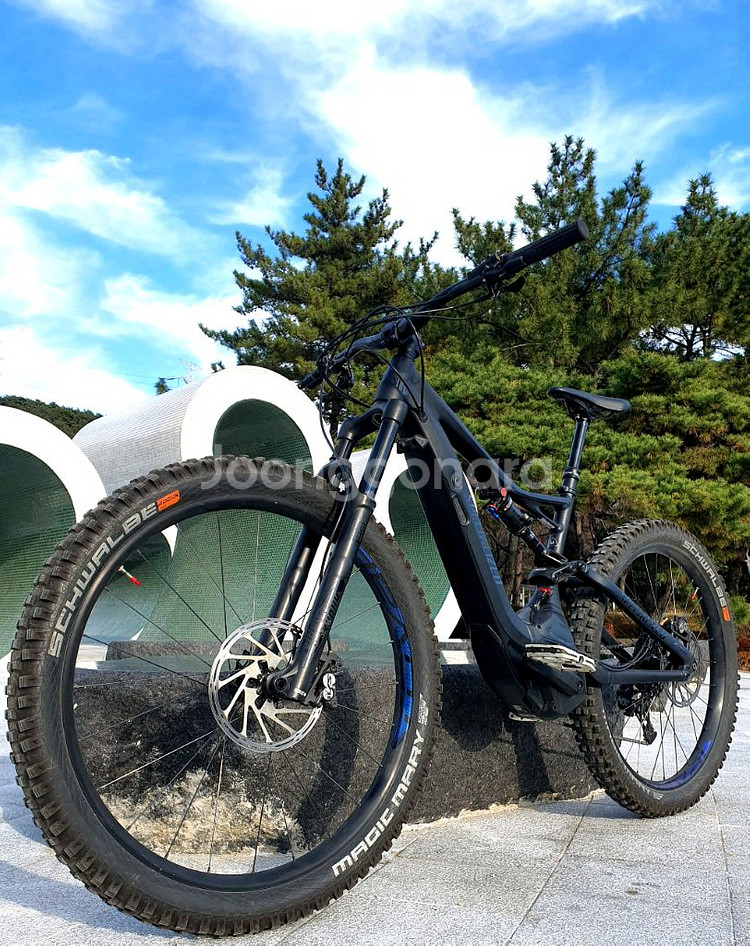 스페셜 라이즈드 E-MTB 전기 산악 자전거--3