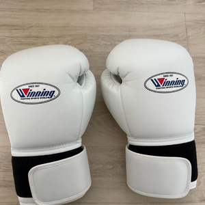복싱글러브 12온스 이미지