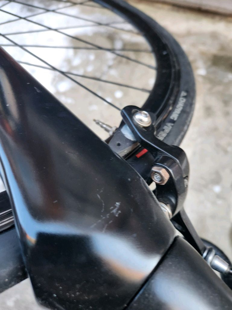 웨폰 카본 몰드 트랙차 이미지