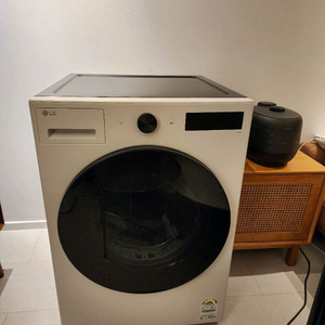 LG 오브제 건조기 19Kg (RG19EN)