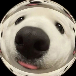 알로항머니 100:0.95, 500이상 0.9