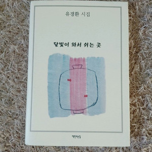 유경환 시집 달빛이 와서 쉬는 곳 한국 시 도서 책
