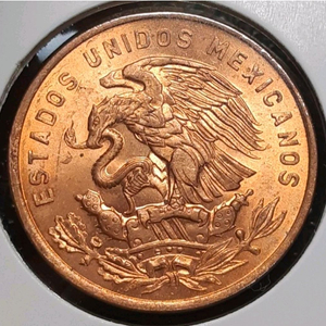 멕시코 미사용 1965년 20센타보스 대형주화.주화 동전 화폐 외국주화 이미지