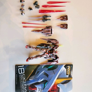 반다이 건프라 rg더블오라이저 글로스인젝션 가조