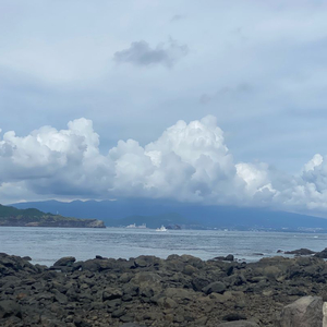 중고 이앙기 구해여 이미지