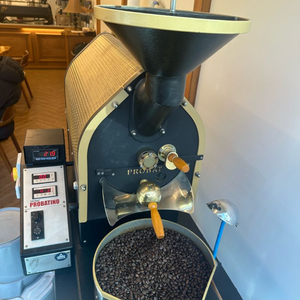 프로밧 프로바티노