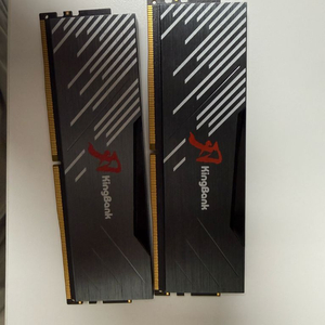 DDR5 메모리 16GB x 2개 32GB 킹뱅크 6000
