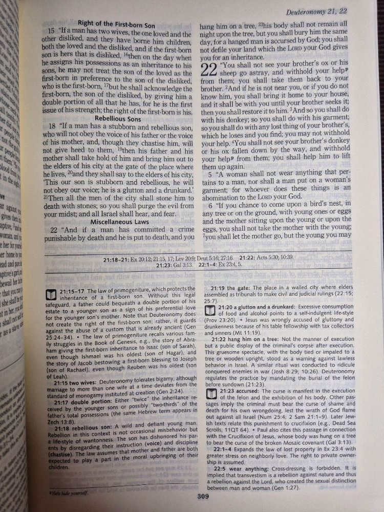 이그나티우스 가톨릭 스터디 바이블 신구약합본 (천주교 영어 주석 성경)--2