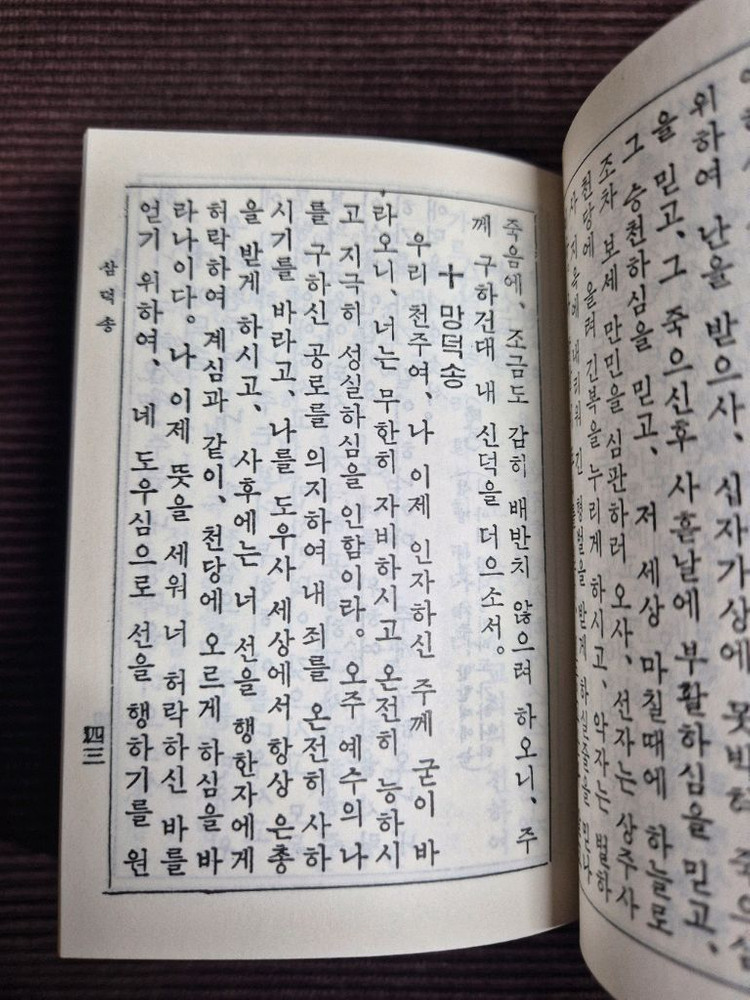 천주성교공과--2