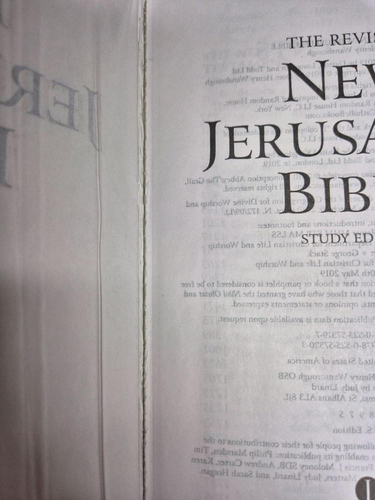 가톨릭(천주교) 영어 성경 (RNJB)--2