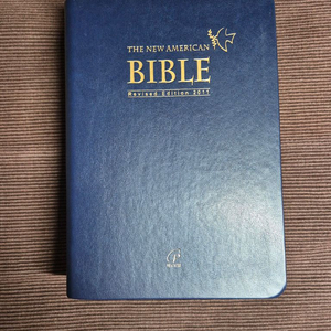 가톨릭(천주교) 영어 성경 (NABRE)