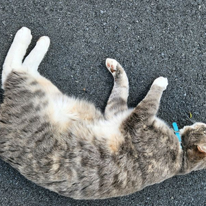 한국사능력검정시험 한능검 심화 1,2,3급 요약본 정리본 PDF