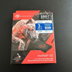 씨게이트 아이언울프 125 SSD 256GB NAS