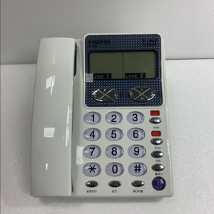 2라인 전화기
