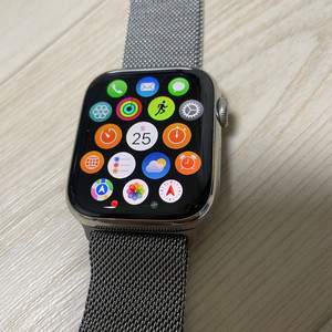 스마트워치 GPS+셀룰러 45mm 스테인리스 스틸