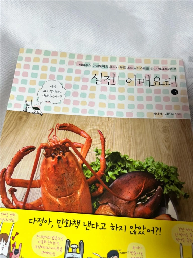 역전 야매요리 요리책 이미지