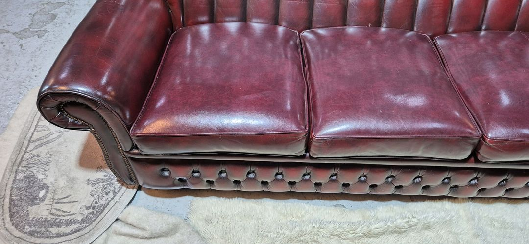 영국 오리지날 체스터필드 최고급 전체 천연가죽 3인소파--5