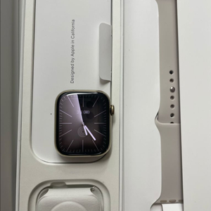 애플워치9스테인리그 45mm 셀룰러 SSS급