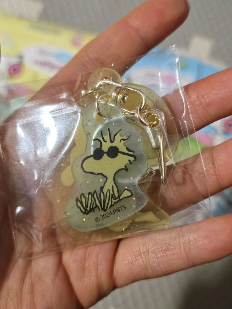 피너츠 스누피 시크릿 아크릴 키링 3종 미개봉--4