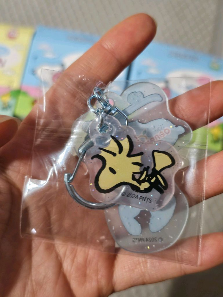 피너츠 스누피 시크릿 아크릴 키링 3종 미개봉--6