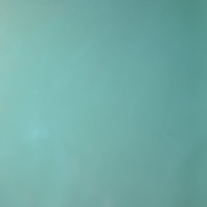 쓰나미 브레인롯 디바인 ㅍㅍ (일괄 10000원) 이미지