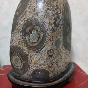 18 12 센치청송꽃돌진품가격조정