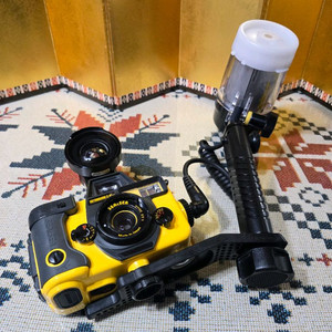 SEA&SEA 수중카메라