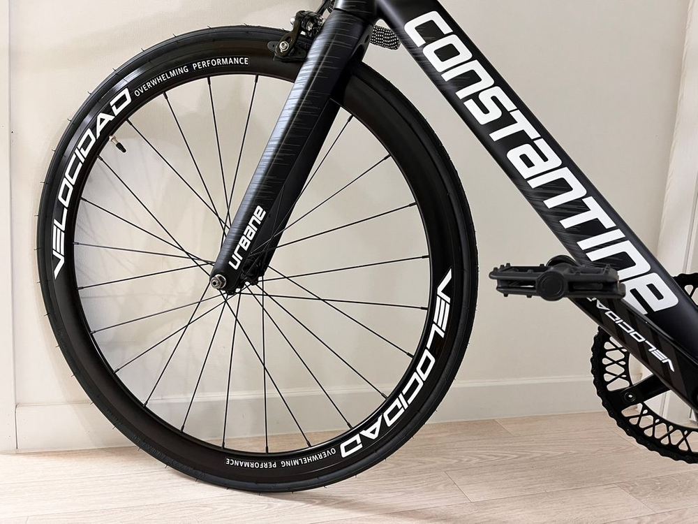 2025년식 콘스탄틴 어베인 (490) - (스피드블랙) 이미지