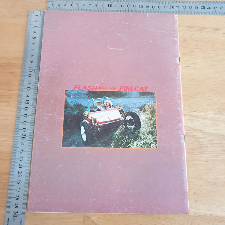 영화 버기체이스 일본영화팜플렛 Flash and the Firecat 플래시앤더파이어캣 로저데이비스 고전영화 이미지