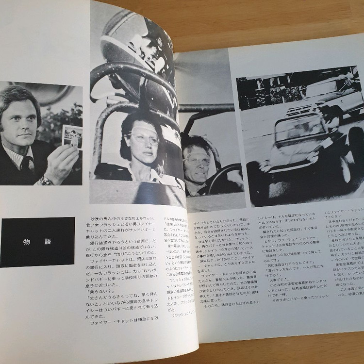 영화 버기체이스 일본영화팜플렛 Flash and the Firecat 플래시앤더파이어캣 로저데이비스 고전영화 이미지