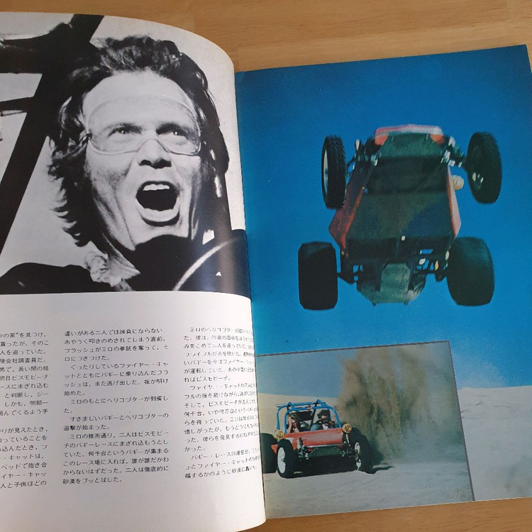 영화 버기체이스 일본영화팜플렛 Flash and the Firecat 플래시앤더파이어캣 로저데이비스 고전영화 이미지