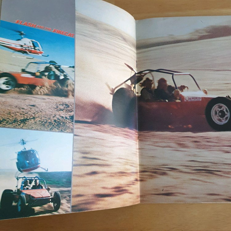 영화 버기체이스 일본영화팜플렛 Flash and the Firecat 플래시앤더파이어캣 로저데이비스 고전영화 이미지