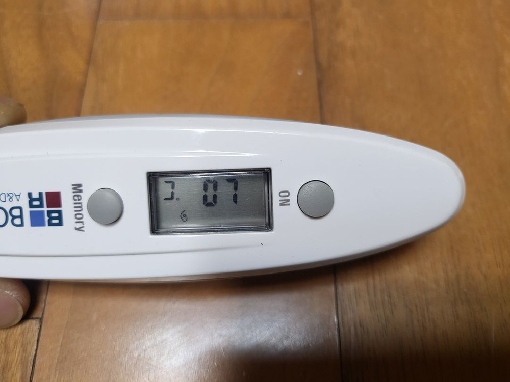 보령 귓속형 체온계 DT-025 택포--2