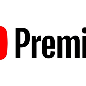 유튜브 프리미엄 1년 사용하실 분 구합니다