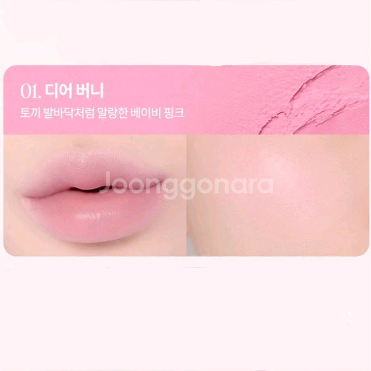 새상품 비바이바닐라 로맨틱 블러쉬 립 앤 치크--1