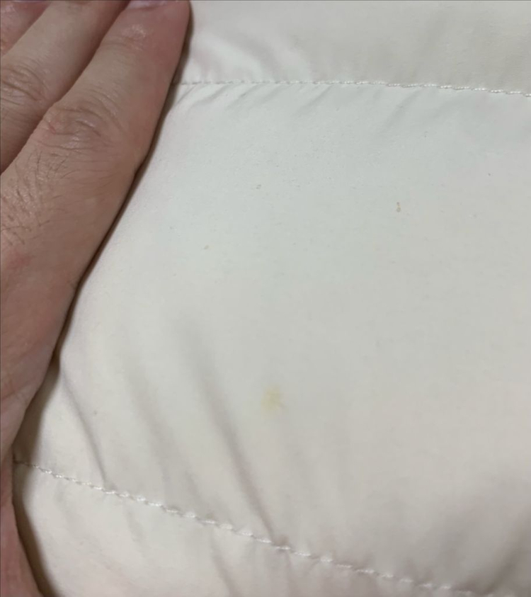 [2]몽클레어 FEBE GILET 베스트 패딩 조끼 구스다운 아이보리--7