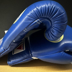 위닝 오피셜 10온스 블루 신품