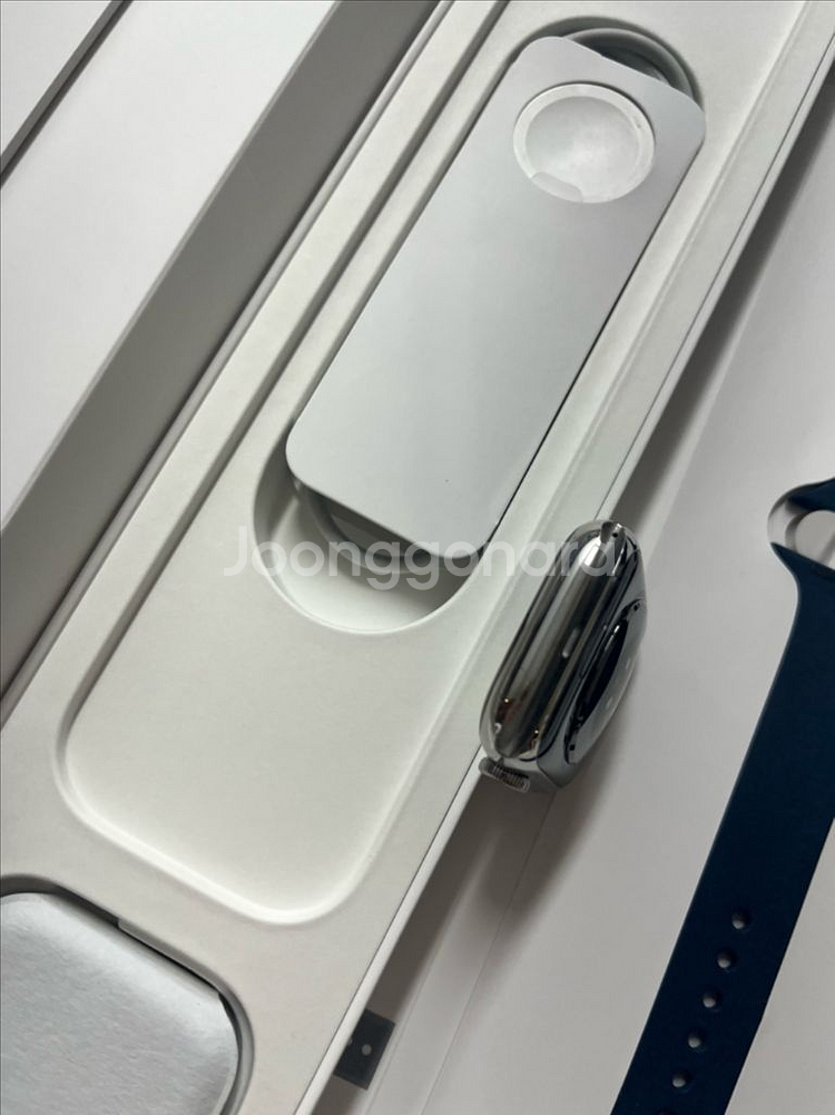 애플워치8스테인리스 45mm 실버 SSS급--3