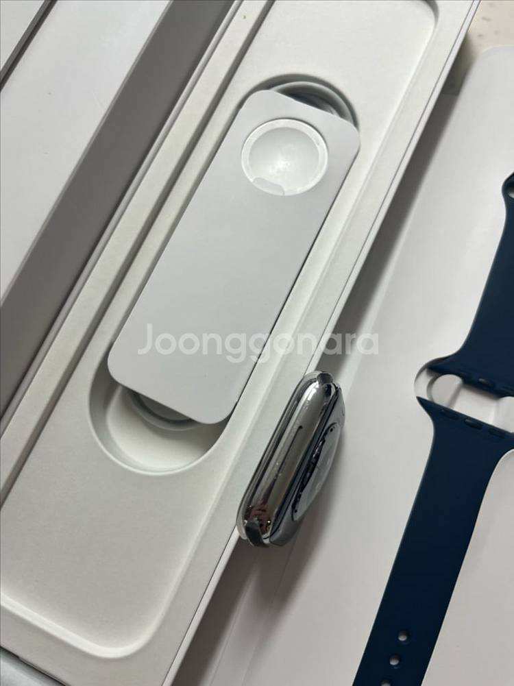 애플워치8스테인리스 45mm 실버 SSS급--4