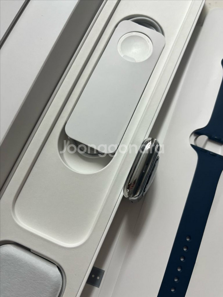 애플워치8스테인리스 45mm 실버 SSS급--5