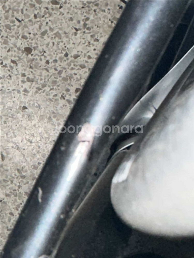 엔진11볼텍스 19년식 황금 M사이즈 53 반차로 빠르게 급처합니다 대차X--1