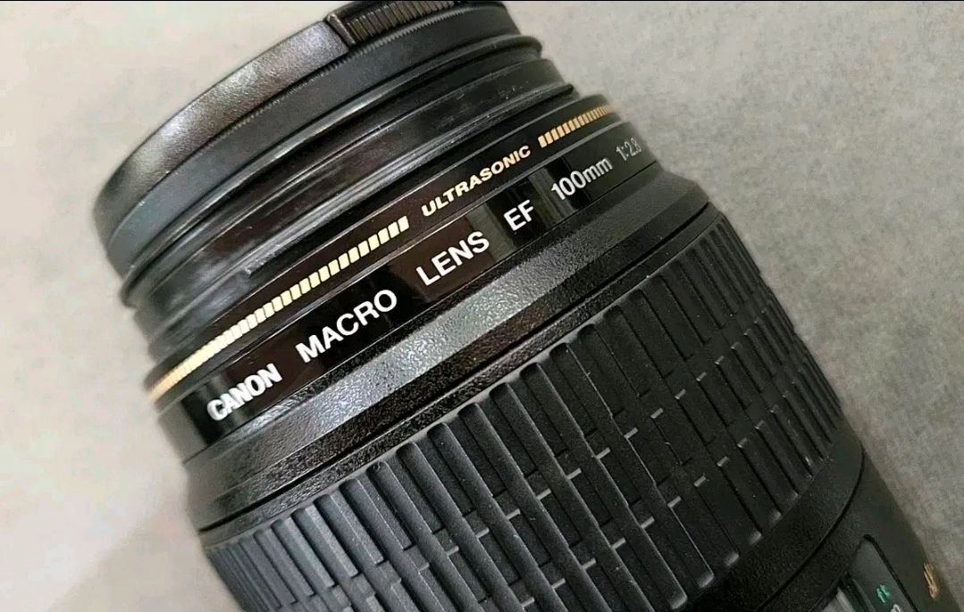 A급>캐논 백마크로 EF 100mm F2.8 MACRO USM 마크로렌즈 이미지
