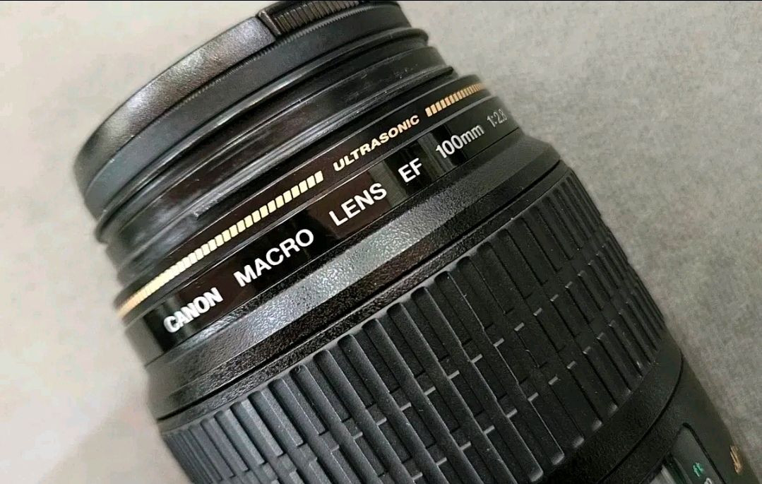 캐논 백마크로 EF 100mm F2.8 MACRO USM 마크로렌즈 이미지