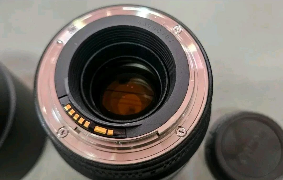A급>캐논 백마크로 EF 100mm F2.8 MACRO USM 마크로렌즈 이미지